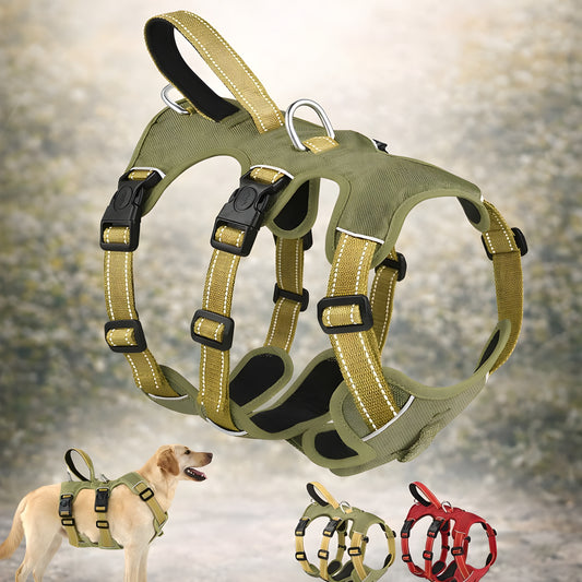 Evita que tu perro se escape durante el paseo | Arnés de 3 puntos